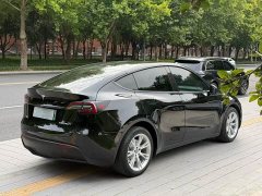 Tesla Model Y Standard Range RWD - ფოტო 8