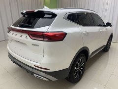 Haval H6 2023 National Trend Edition 1.5T Automatic Urban Version - ფოტო 15