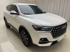 Haval H6 2023 National Trend Edition 1.5T Automatic Urban Version - ფოტო 3