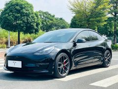 Tesla Model 3 Performance All-Wheel Drive 3D6 - ფოტო 1