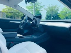Tesla Model 3 Performance All-Wheel Drive 3D6 - ფოტო 12