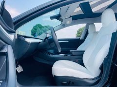 Tesla Model 3 Performance All-Wheel Drive 3D6 - ფოტო 13