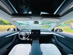 Tesla Model 3 Performance All-Wheel Drive 3D6 - ფოტო 16