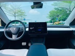 Tesla Model 3 Performance All-Wheel Drive 3D6 - ფოტო 17