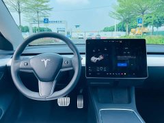 Tesla Model 3 Performance All-Wheel Drive 3D6 - ფოტო 18