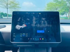 Tesla Model 3 Performance All-Wheel Drive 3D6 - ფოტო 19
