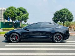 Tesla Model 3 Performance All-Wheel Drive 3D6 - ფოტო 8