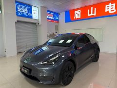 Tesla Model Y Long Range All-Wheel Drive - ფოტო 1