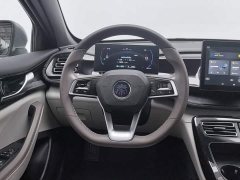 BYD Qin PLUS Champion Edition DM-i 55KM Leading - ფოტო 11