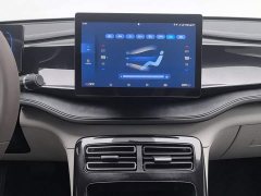 BYD Qin PLUS Champion Edition DM-i 55KM Leading - ფოტო 12
