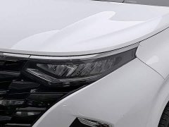 Hyundai Costar 2021 380TGDi Smart Love Flagship TOP Premium - ფოტო 7