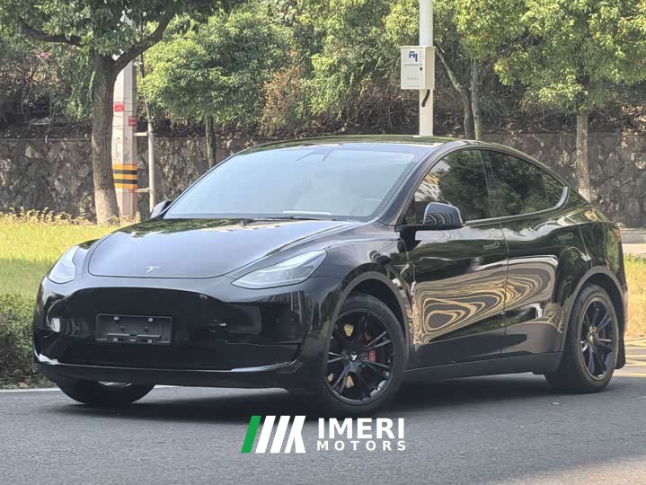 Tesla Model Y 2021 Standard Range RWD - ავტომობილი ჩინეთიდან