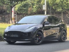 Tesla Model Y 2021 Standard Range RWD - ფოტო 1