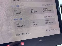 Tesla Model Y 2021 Standard Range RWD - ფოტო 12