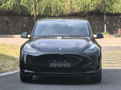 Tesla Model Y 2021 Standard Range RWD - ფოტო 2
