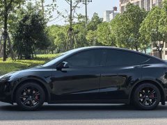 Tesla Model Y 2021 Standard Range RWD - ფოტო 4