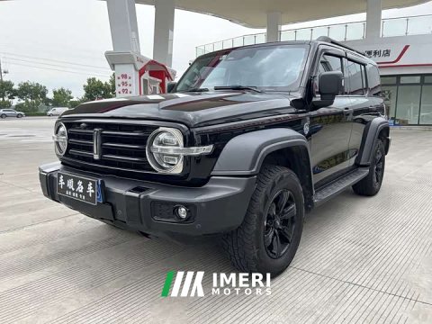 2021 Tank 300 Off-Road Edition 2.0T Conqueror - ავტომობილი ჩინეთიდან