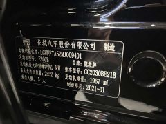 Tank 300 Off-Road Edition 2.0T Conqueror - ფოტო 18