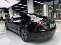 Tesla Model 3 Standard Range RWD Upgrade 3D6 - ფოტო 17