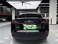 Tesla Model 3 Standard Range RWD Upgrade 3D6 - ფოტო 18
