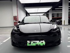 Tesla Model 3 Standard Range RWD Upgrade 3D6 - ფოტო 2
