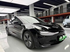 Tesla Model 3 Standard Range RWD Upgrade 3D6 - ფოტო 3