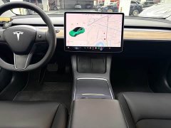 Tesla Model 3 Standard Range RWD Upgrade 3D6 - ფოტო 9