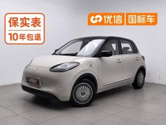 Wuling Binguo 333km Joy Edition - ფოტო 1