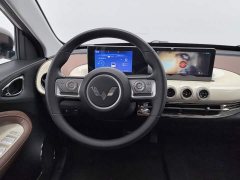 Wuling Binguo 333km Joy Edition - ფოტო 11
