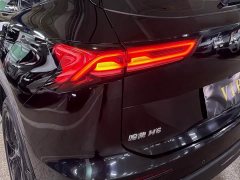 Haval H6 2024 2.0T AWD Max - ფოტო 5
