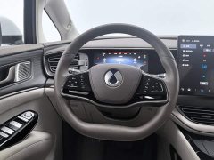 Denza BYD Denza D9 2022 EV 600 AWD Flagship - ფოტო 11