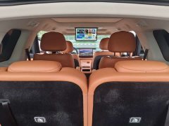 Leapmotor C16 Pure Electric 520 Deluxe Edition - ფოტო 10