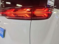 Denza BYD Denza D9 2022 DM-i 1040 Premium - ფოტო 14