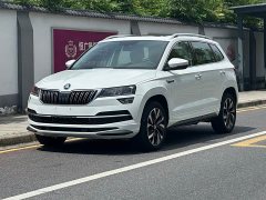Skoda Karoq TSI280 Edition - ფოტო 1