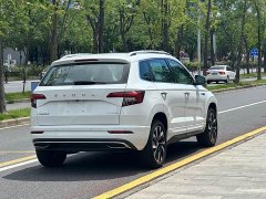 Skoda Karoq TSI280 Edition - ფოტო 11