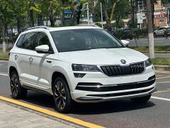 Skoda Karoq TSI280 Edition - ფოტო 3