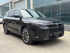 AITO Wenjie M7 1.5T RWD Comfort Edition - ფოტო 3