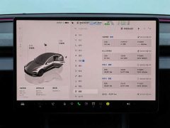 Tesla Model 3 Rear-Wheel Drive - ფოტო 8