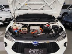 BYD e3 Edition Luxury Version - ფოტო 13