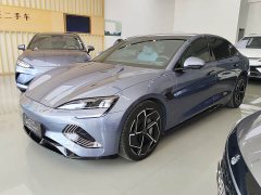 BYD Dolphin Champion Edition 700km Performance Version - ფოტო 1