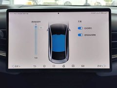 BYD Dolphin Champion Edition 700km Performance Version - ფოტო 13