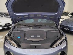 BYD Dolphin Champion Edition 700km Performance Version - ფოტო 15