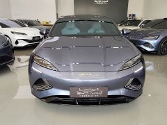 BYD Dolphin Champion Edition 700km Performance Version - ფოტო 2