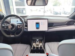 BYD Dolphin Champion Edition 700km Performance Version - ფოტო 9