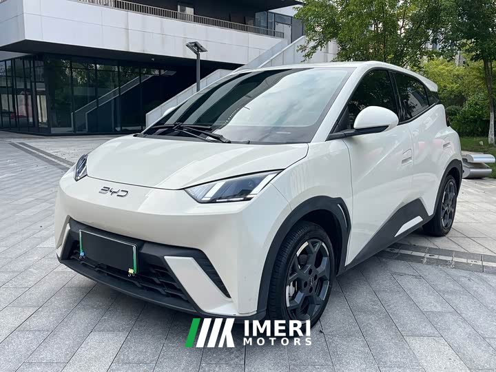 BYD Seagull 405km Flying Edition - ავტომობილი ჩინეთიდან