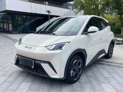 BYD Seagull 405km Flying Edition - ფოტო 1