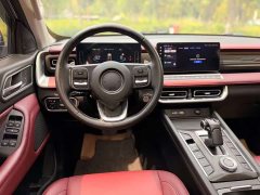 Lexus Cannon 2023 2.0T Off-road Auto Diesel 4WD Everest Edition - ფოტო 18