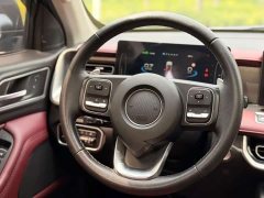 Lexus Cannon 2023 2.0T Off-road Auto Diesel 4WD Everest Edition - ფოტო 19