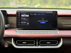 Lexus Cannon 2023 2.0T Off-road Auto Diesel 4WD Everest Edition - ფოტო 20