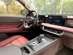 Lexus Cannon 2023 2.0T Off-road Auto Diesel 4WD Everest Edition - ფოტო 9
